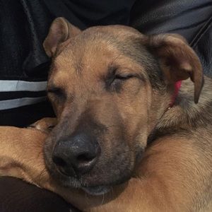 Meet your Posher, Nicholas